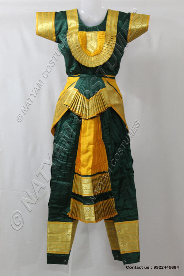 Bharatnatyam costume 19