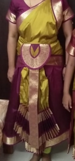 Bharatanatyam dress skirt fan