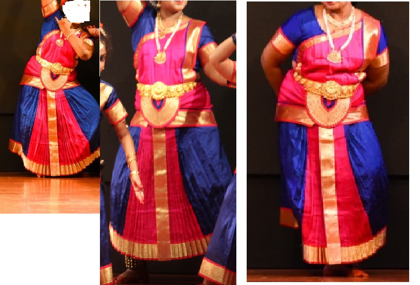 Bharatanatyam dress pallu skirt