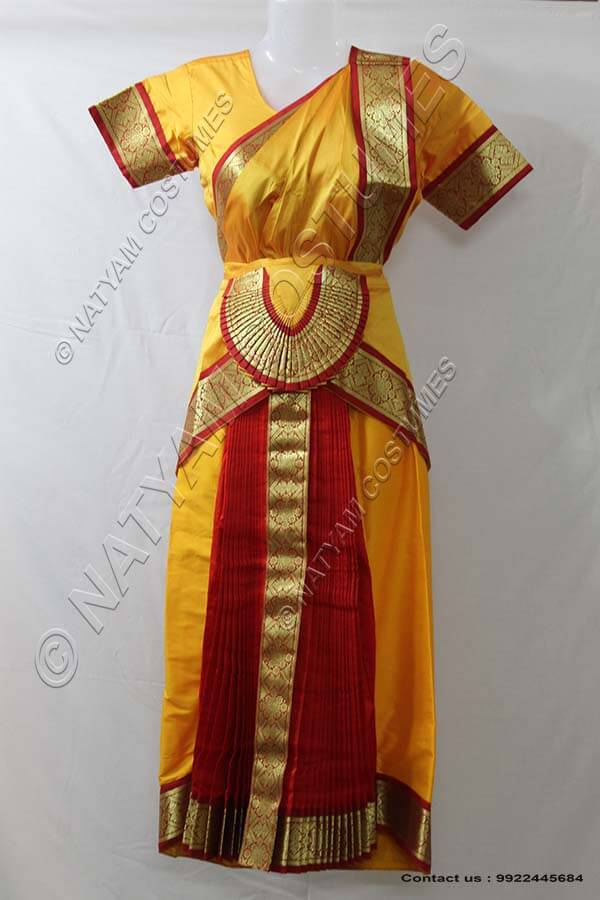 Bharathanatyam dress pallu